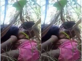 Desi lover indulges in outdoor sex and breast sucking
