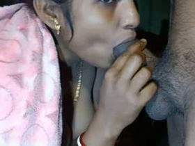 Payel Bhabi gives a blowjob and gets pounded from above