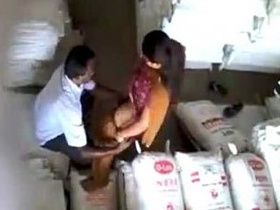 Desi bhabhi indulges in steamy office affair with colleague, giving him a hot blowjob and getting fucked