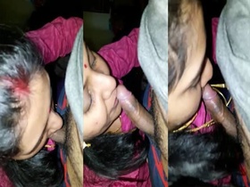 A Tamil wife gives oral to her husband's brother's large penis