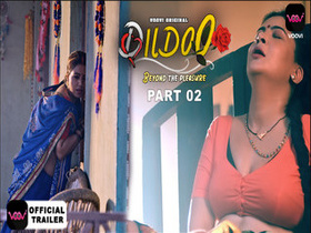 The Dildo: A Journey of Pleasure