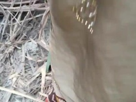 Tamil couple enjoys public sex in the great outdoors