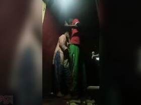 Desi slut gets fucked hard by her Pakistani friend