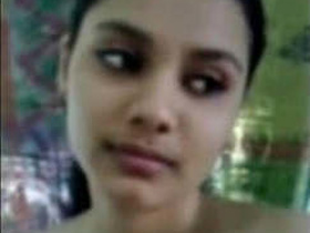 Experience the beauty of a cat in full HD quality