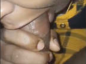 Indian bhabhi gives a blowjob in Boquete video