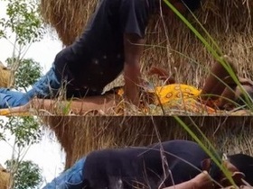 Desi lovers' first outdoor sex captured on MMS