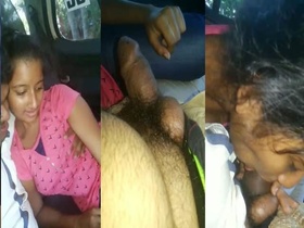 Couple enjoys car sex on video
