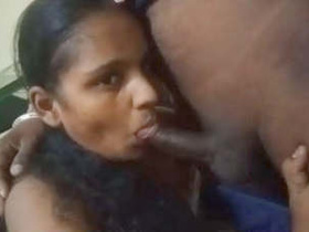A cute girl giving a blowjob and sucking her lover's balls