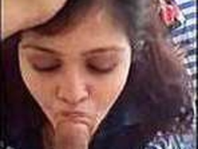 Desi lover performs a hot blowjob in this video