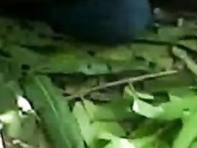 Desi MMS video of a young couple having sex outdoors