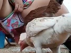 Indian wife's upskirt in anticipation of chicken feed