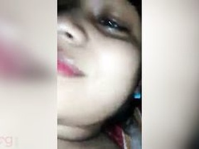 Big boobs Desi bhabhi gets fucked hard in MMS video