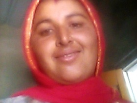 Explore the world of mature village bhabhi in these five steamy clips
