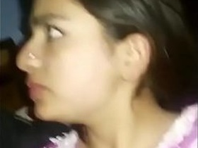 Busty bhabhi gets her boobs fondled in a steamy video